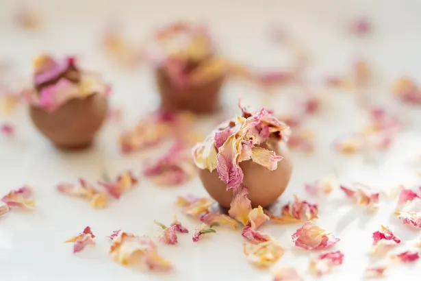 Fever Slots Casino Android/iOS App